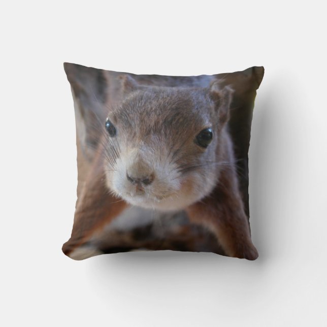Cute Squirrel Face Pillow (Front)