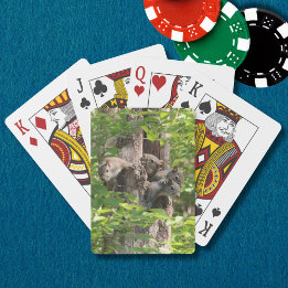 Cute Squirrel Family in Spring Nature Photography Playing Cards