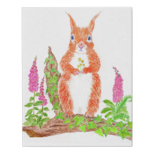 Cute squirrel