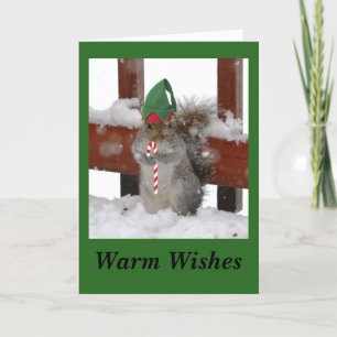 Cute Squirrel Folded Holiday Card on Green