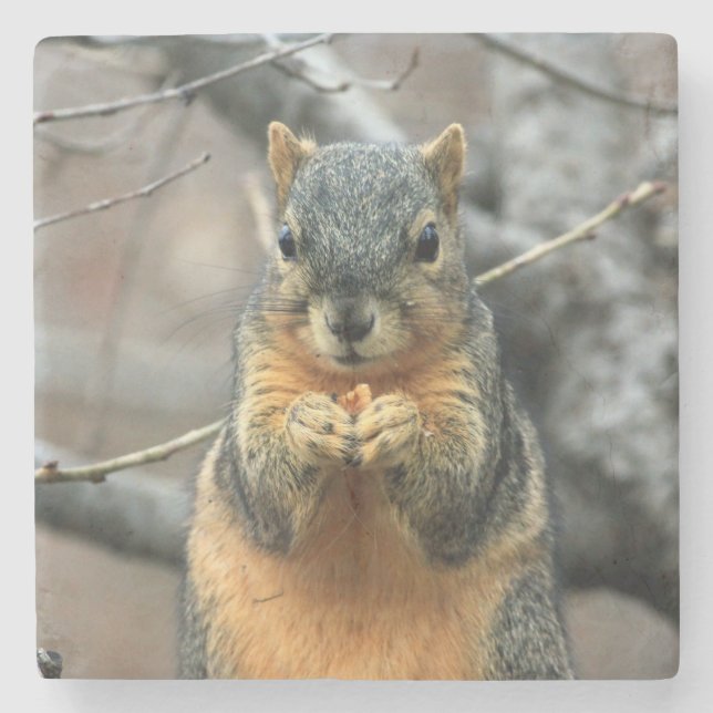 Cute Squirrel Having a Snack Stone Coaster (Front)