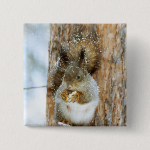 Cute Squirrel in a Winter Landscape 15 Cm Square Badge