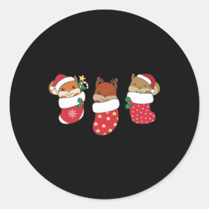 Cute Squirrel In Christmas Sock For Christmas Classic Round Sticker