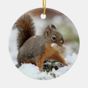 Cute Squirrel in Snow with Peanut Ceramic Tree Decoration