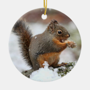 Cute Squirrel in the Snow Photo Ceramic Tree Decoration