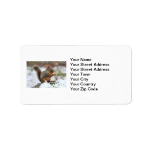 Cute Squirrel in the Snow Photo Label