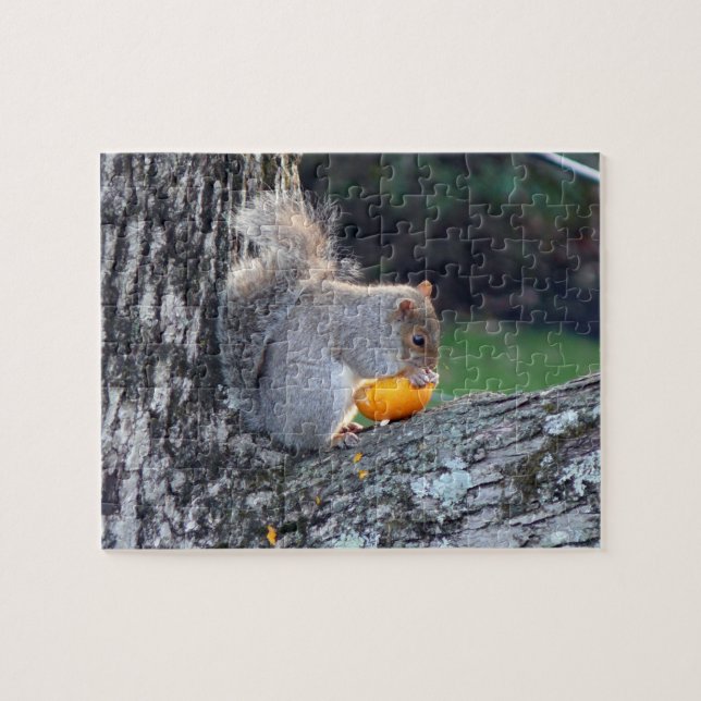 Cute Squirrel in Tree Eating Mini Pumpkin Difficul Jigsaw Puzzle (Horizontal)