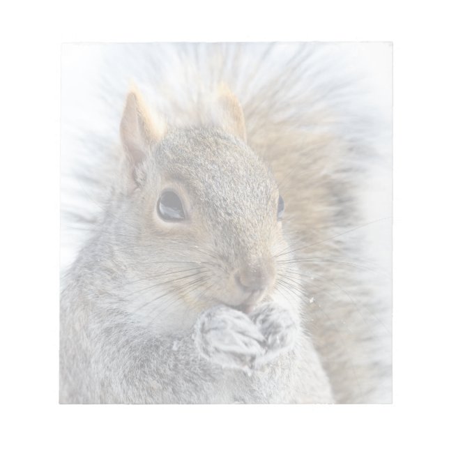 Cute Squirrel in Winter Notepad (Front)