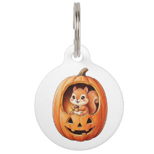 Cute Squirrel inside Halloween Pumpkin Jack o Lant Pet Tag