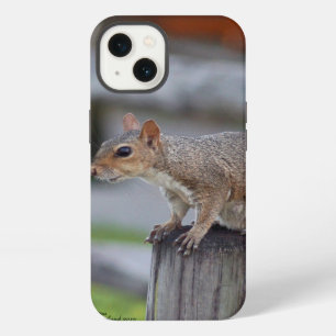 Cute squirrel iPhone 6 Case