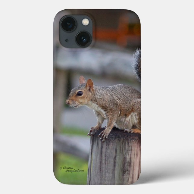 Cute squirrel iPhone 6 Case (Back)