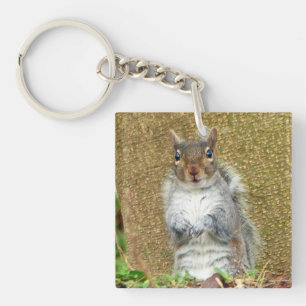 Cute Squirrel Key Ring