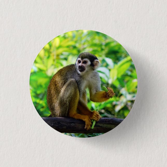 Cute squirrel monkey 3 cm round badge (Front)