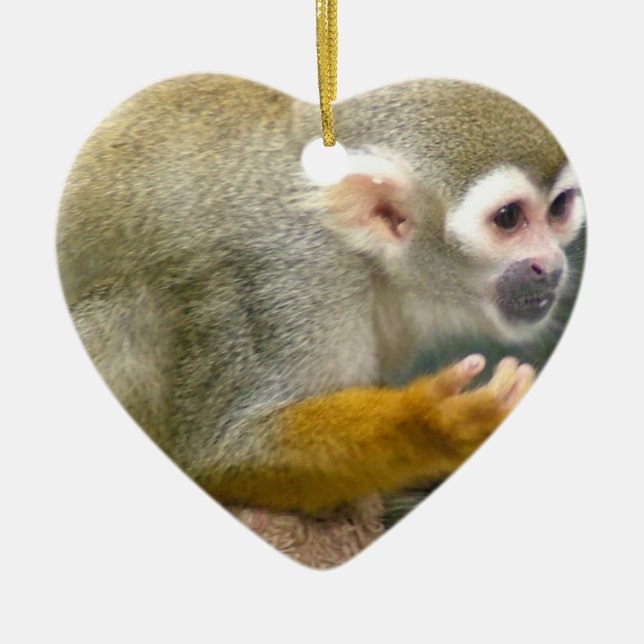 Cute Squirrel Monkey Ornaments (Front)