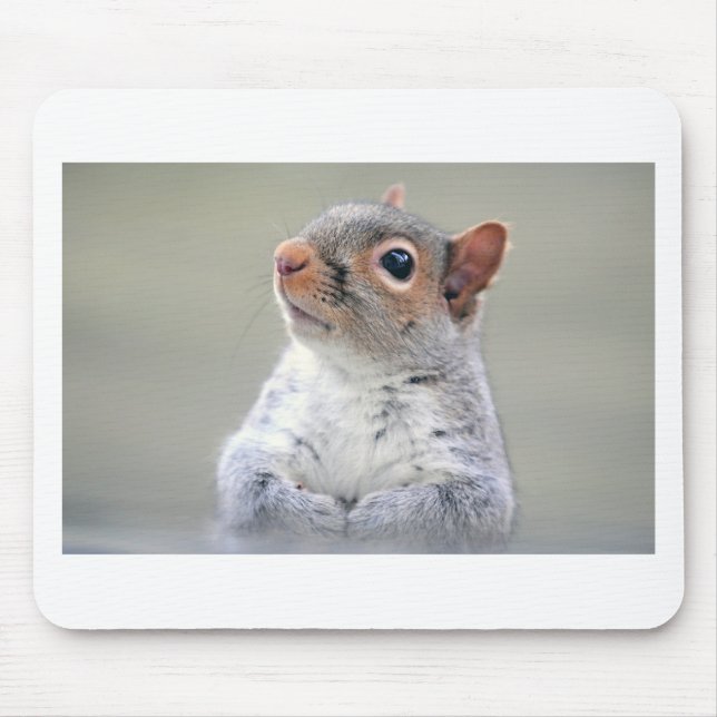 Cute Squirrel Mouse Pad (Front)