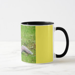 Cute Squirrel Mug