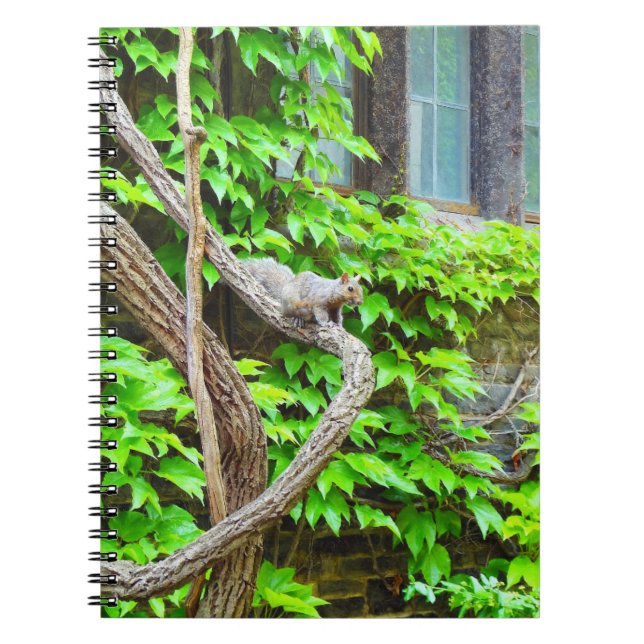 Cute Squirrel Notebook (Front)