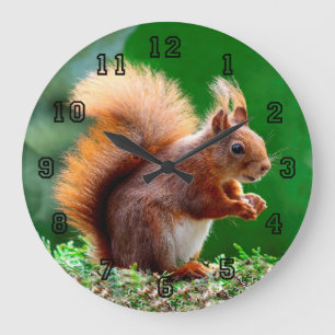 Cute Squirrel on Grass Clock