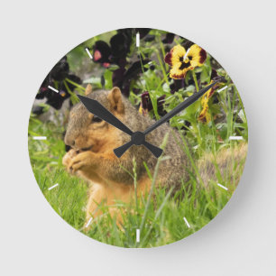 Cute Squirrel & Pansies Photo Round Clock