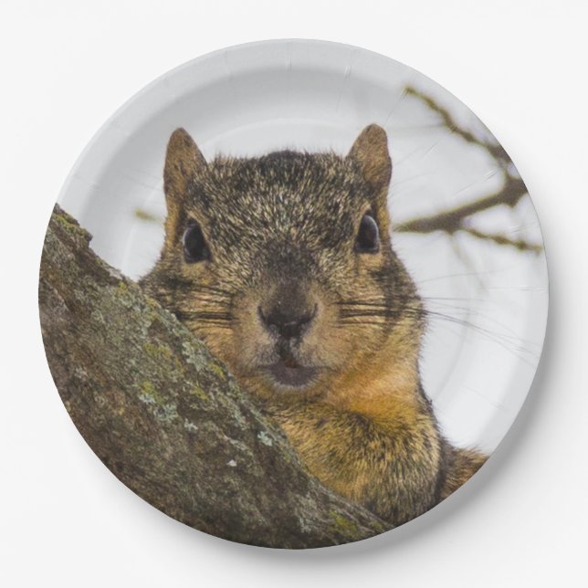 Cute Squirrel Paper Plate (Front)