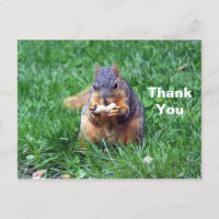 Cute Squirrel Peanut Photo Thank You