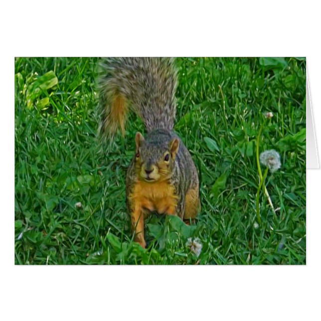 Cute Squirrel Photo Blank Card (Front Horizontal)