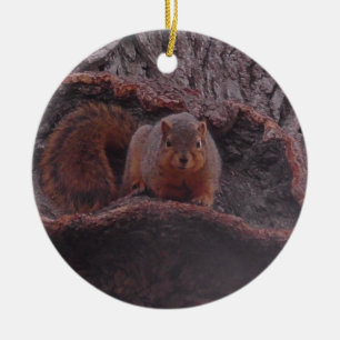 Cute Squirrel Photo Personalised Ceramic Ornament