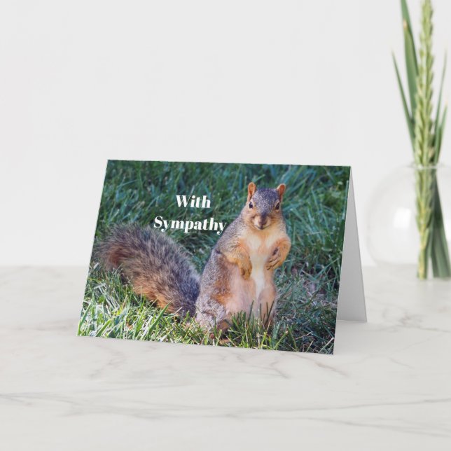 Cute Squirrel Photo Sympathy Card (Front)