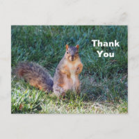Cute Squirrel Photo Thank You