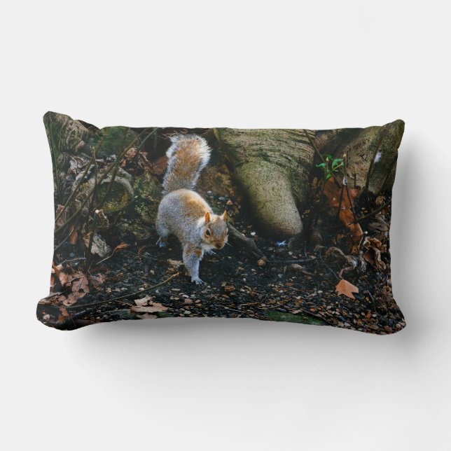 Cute Squirrel Photograph, Animal In Forest Lumbar Cushion (Front)