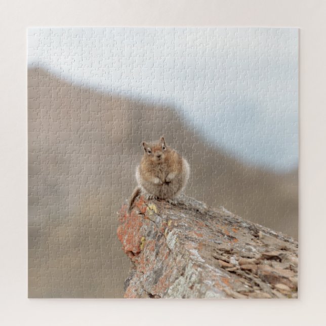 Cute squirrel puzzle (Vertical)