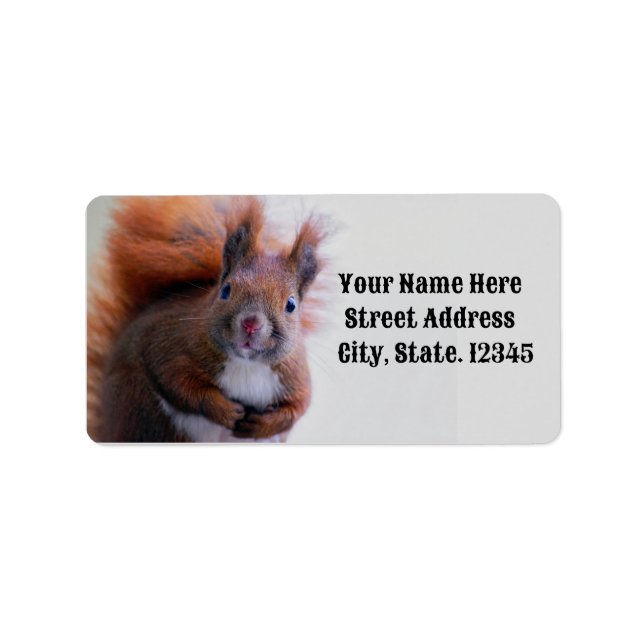 Cute Squirrel Return Address Label (Front)