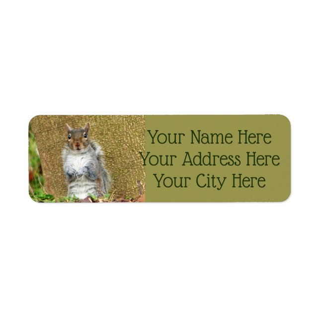 Cute Squirrel Return Address Label (Front)