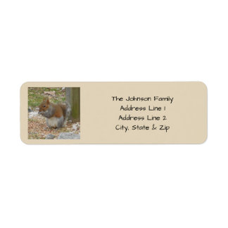 Cute Squirrel Return Address Labels