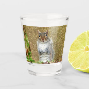 Cute Squirrel Shot Glass