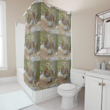 Cute Squirrel Shower Curtain