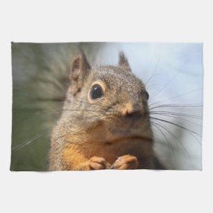 Cute Squirrel Smiling Closeup Photo Tea Towel