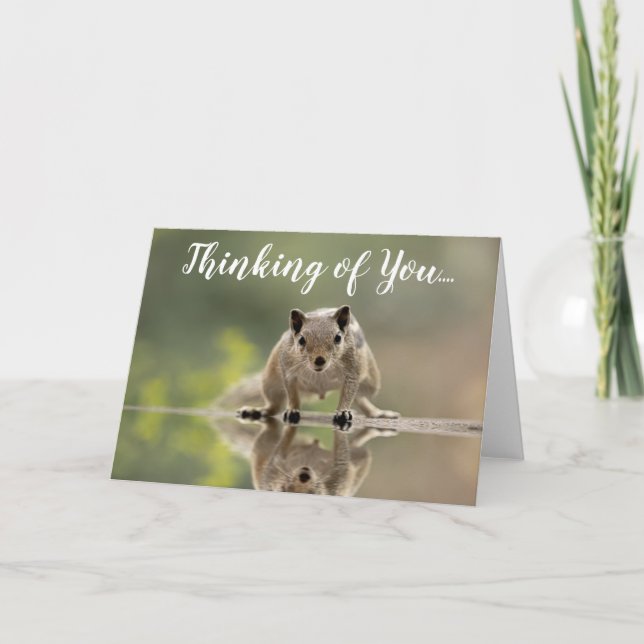 Cute Squirrel Thinking of You Greeting Card (Front)