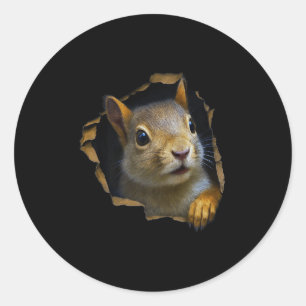 Cute Squirrel Torn Cloth 3d Graphic Premium Classic Round Sticker