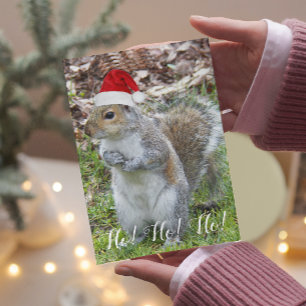 Cute Squirrel Wearing Red Santa Cap Holiday