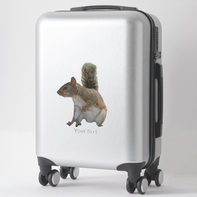 Cute squirrel wild animal (Suitcase)