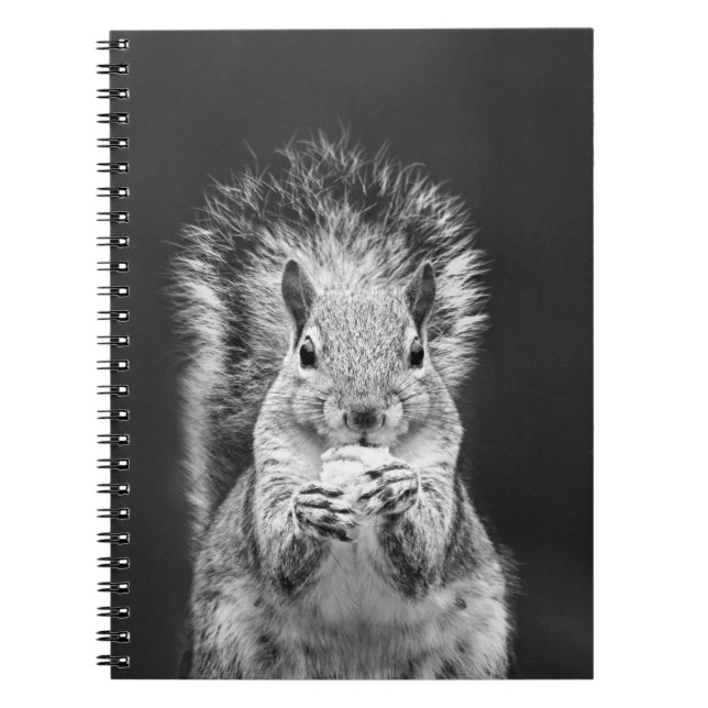 Cute Squirrel Wildlife Black and White Photograph Notebook (Front)