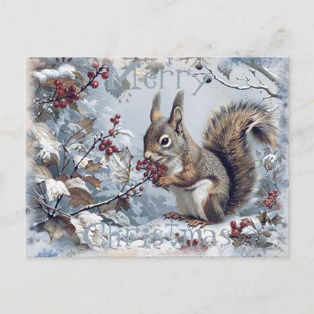 Cute Squirrel Winter Christmas Holiday Postcard (Front)
