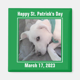 Cute St. Patrick's Day Green Lazy Dog Magnet