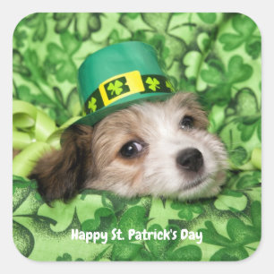Cute St. Patrick's Day Puppy Square Sticker