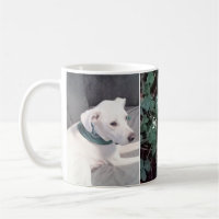 Cute St. Patrick's Day Shamrocks and Clovers Dog