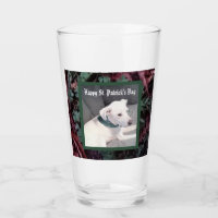 Cute St. Patrick's Day Shamrocks And Clovers Dog