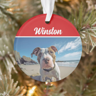 Cute Staffordshire Dog Holiday Christmas Photo Ornament