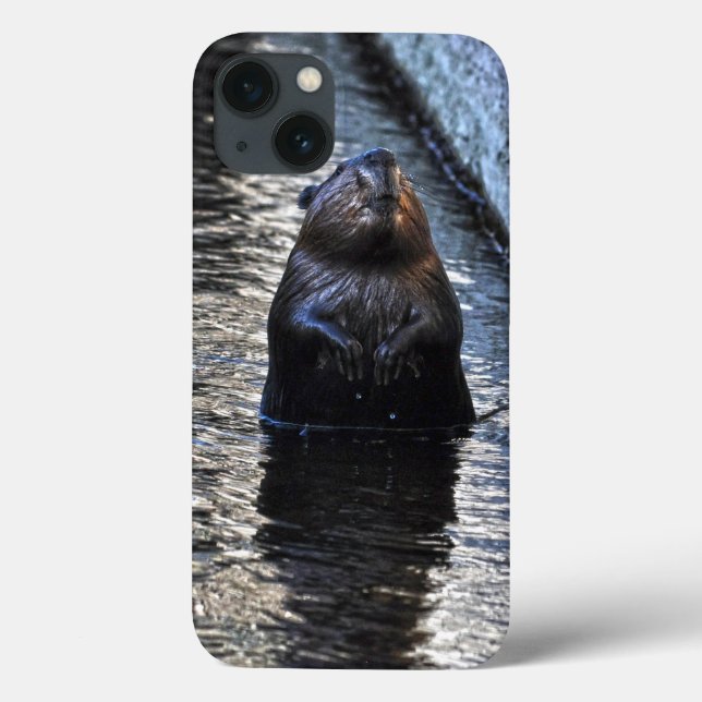 Cute Standing Wild Beaver 2 Wildlife Photo Case-Mate iPhone Case (Back)