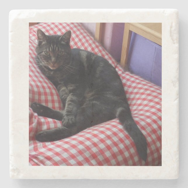 Cute Stone Coaster (Front)